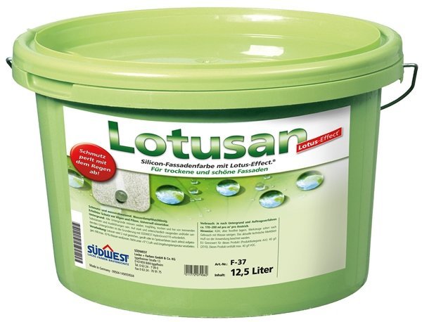 Südwest Lotusan Basis 0070