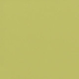Cervatto apfelgrün 10 x 10 cm