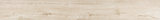 Traona hell beige 15x120 cm