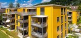Rockwool Rockpanel Colours Durable 2500x1200x8 mm RAL 7004