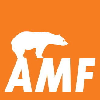 Knauf AMF DONN Wandwinkel MIE24