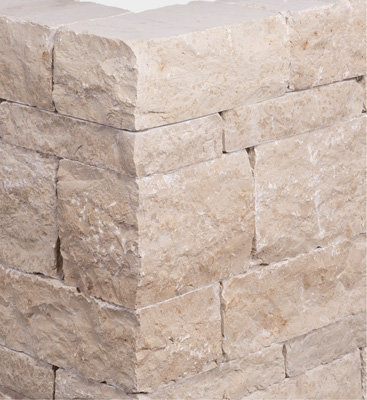 Seltra Rebmauer Dietfurter Kalkstein