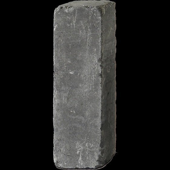 KANN Palisade Germania antik