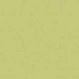 Cervatto apfelgrün 20 x 20 cm