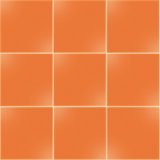 Lograto orange 10 x 10 cm